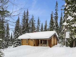 Фото Дома для отпуска Holiday Home Karhuntuuli г. Луосто